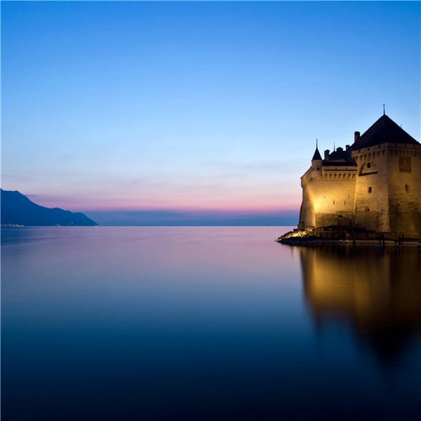 วี วิโอเลต avatar