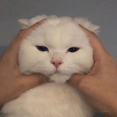 กัน อรรถพันธ์ avatar