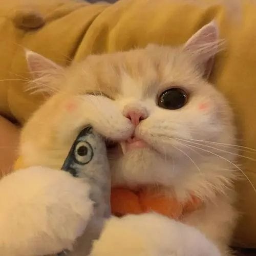 พีระพัฒน์ โน๊ตชัยยา avatar